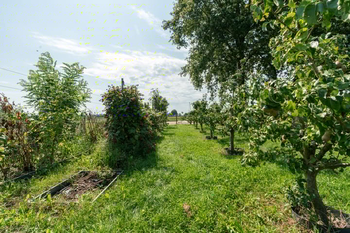 Foto 58 van Peezeweg 4