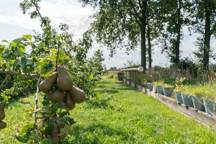 Foto 59 van Peezeweg 4