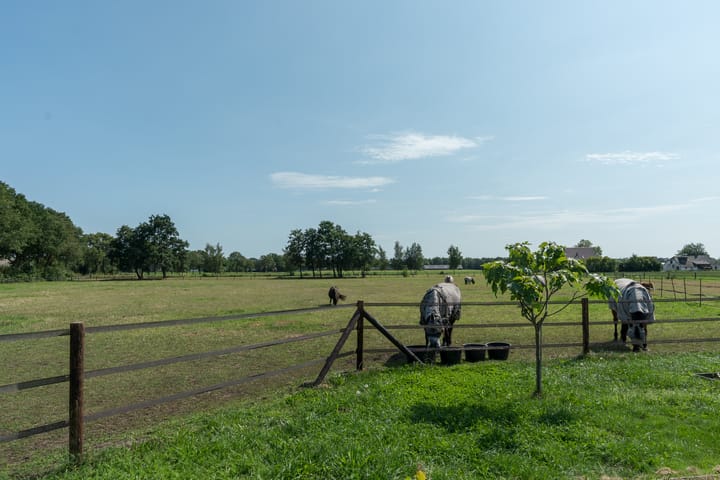 Foto 64 van Peezeweg 4