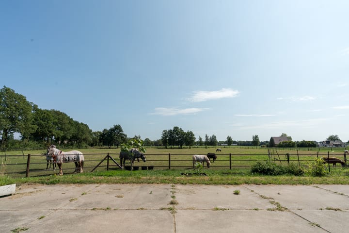 Foto 65 van Peezeweg 4