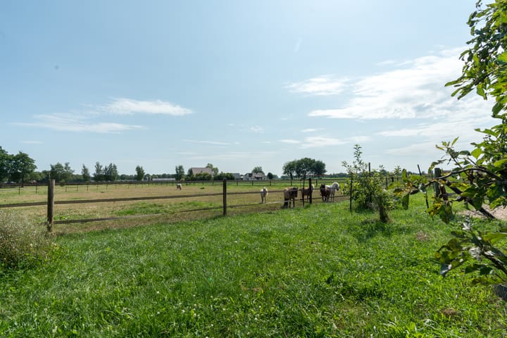 Foto 67 van Peezeweg 4