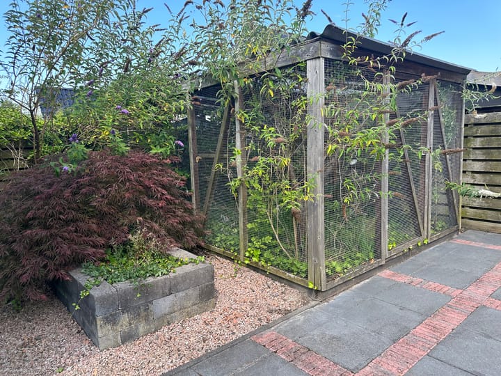 Foto 37 van Wethâlder Beerdastrjitte 7