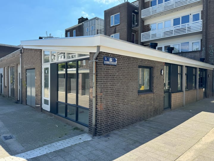 Jan Dommeringpad 4