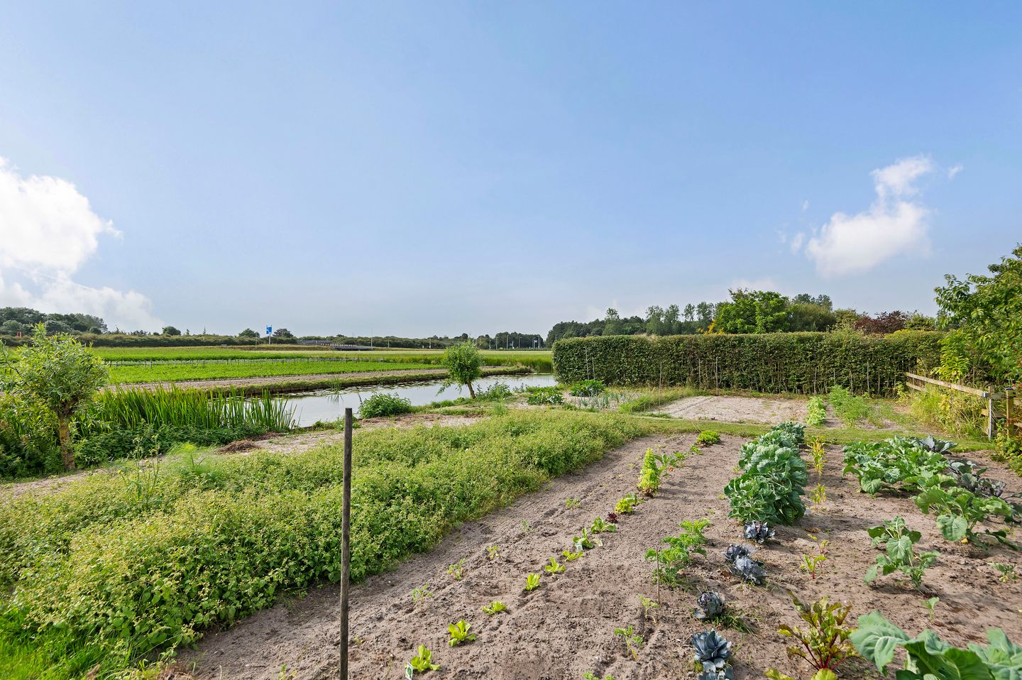 Foto 50 van Gooweg 21-A