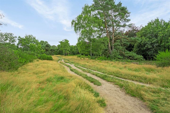 Bekijk foto 18 van Nieuwlandseweg 19