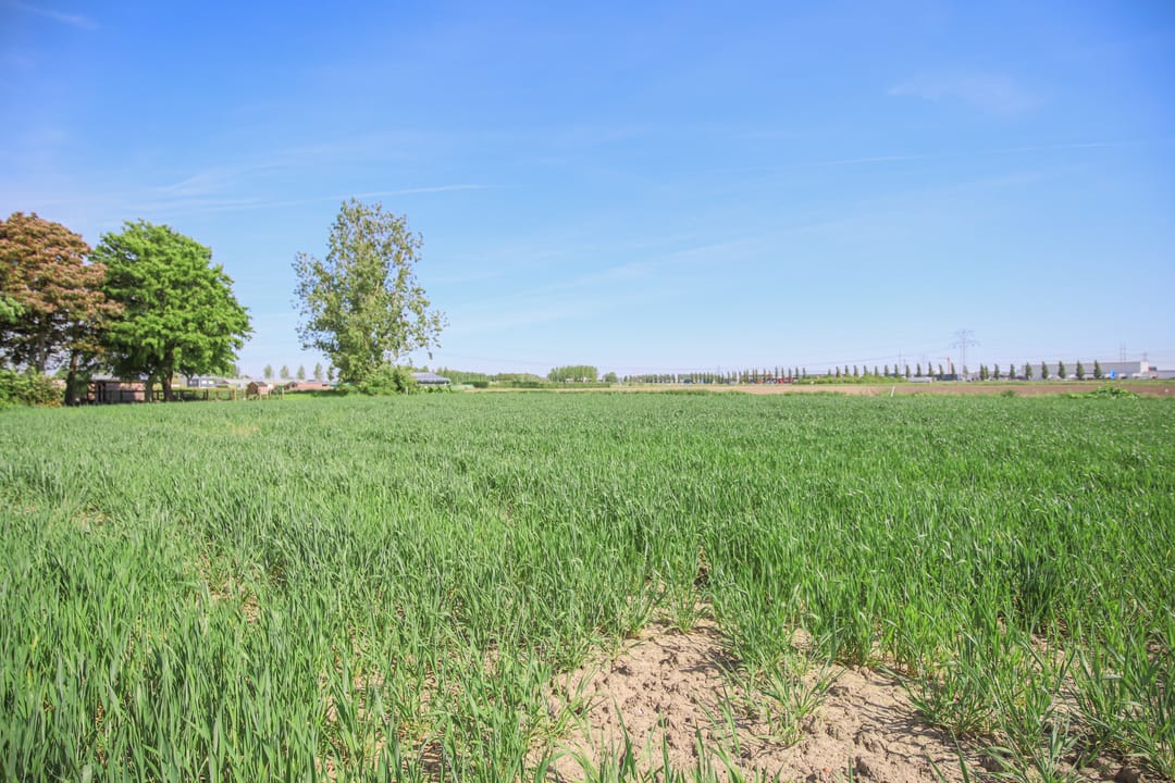 Foto 67 van Zandweg 4-C