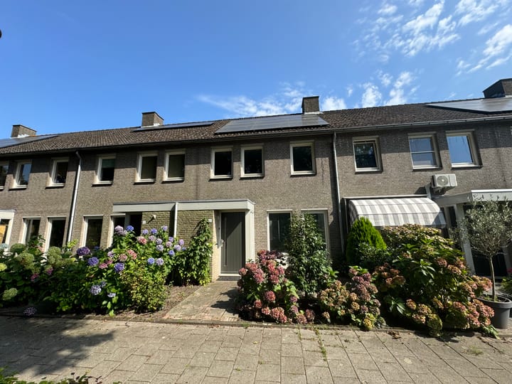 undefined main image