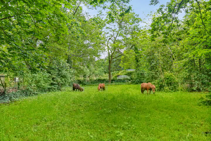 Foto 4 van Oude Tempellaan 6