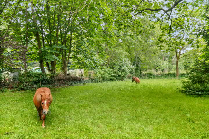 Foto 48 van Oude Tempellaan 6