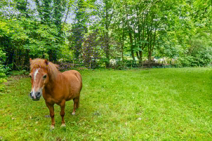 Foto 49 van Oude Tempellaan 6