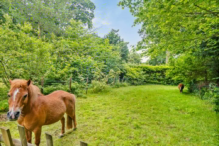 Foto 51 van Oude Tempellaan 6