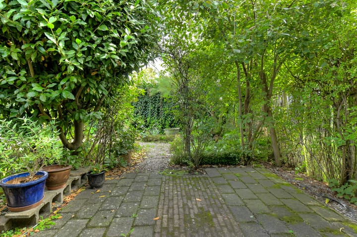 Foto 41 van Thijssenweg 3