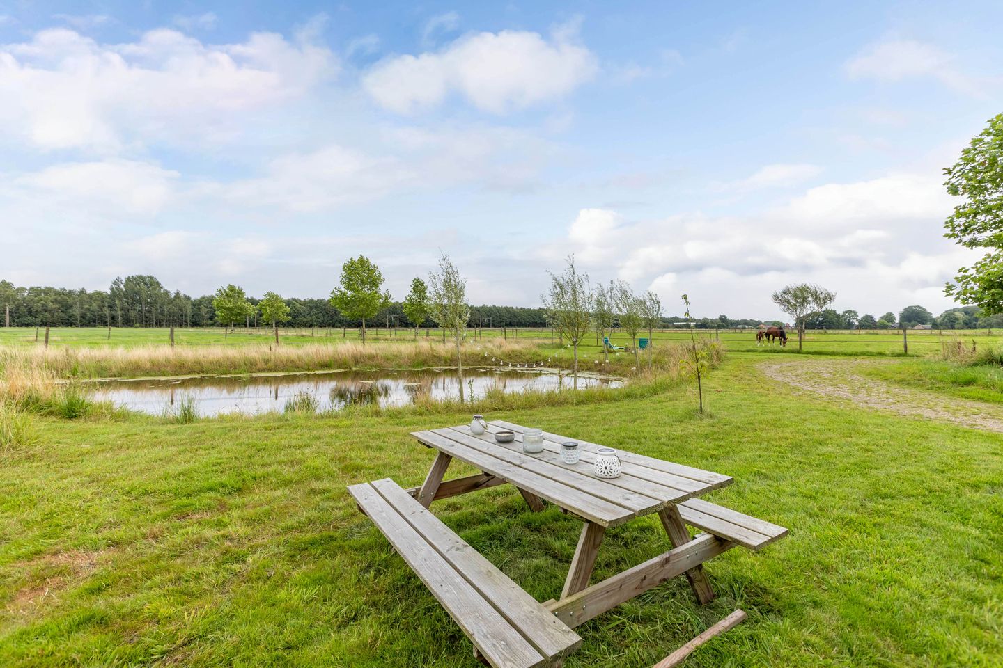 Foto 29 van Steenwijkerweg 139