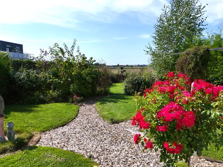 Foto 2 van Seepark 15