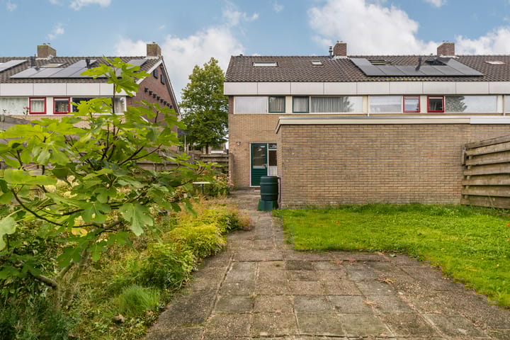 Foto 4 van De Meeuwen 10