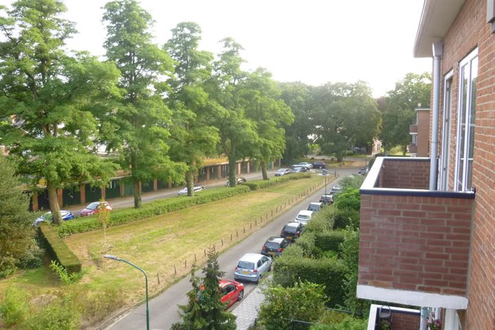 Bekijk foto 13 van de Engh 7-III