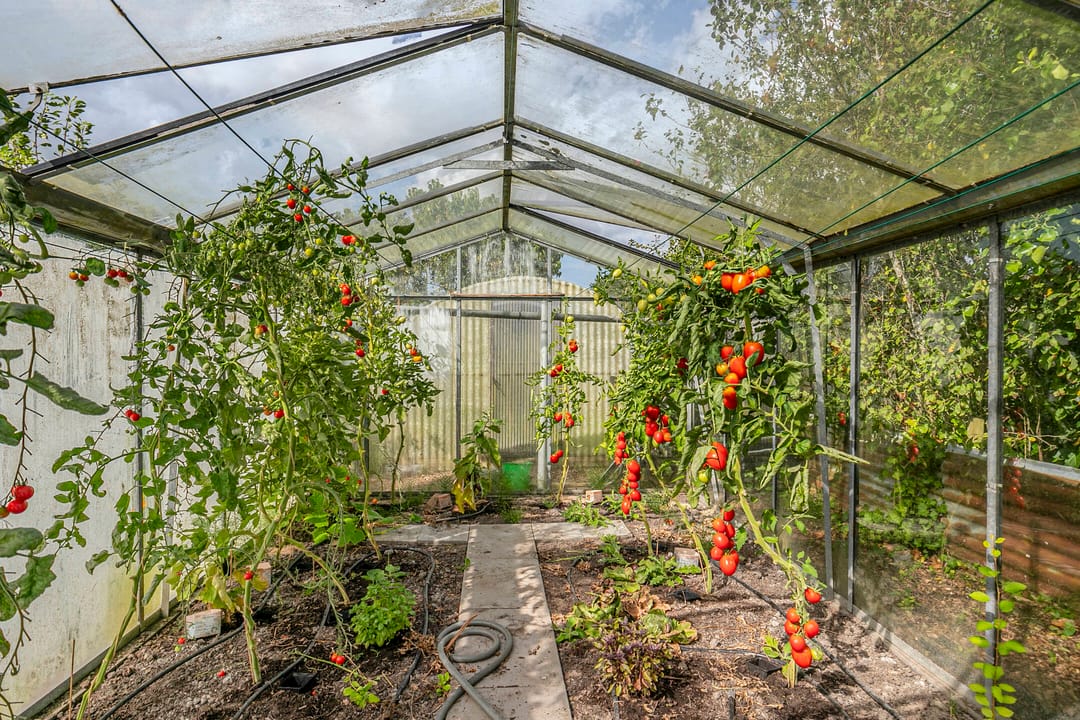 Foto 46 van Dorpsstraat 13