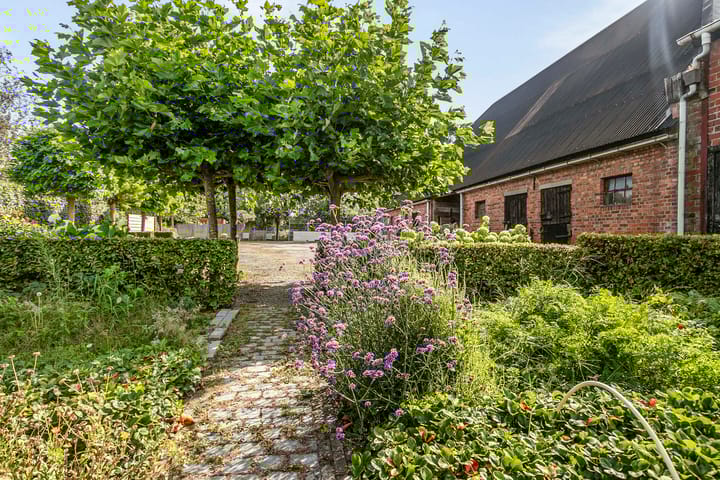 Foto 48 van Dorpsstraat 13