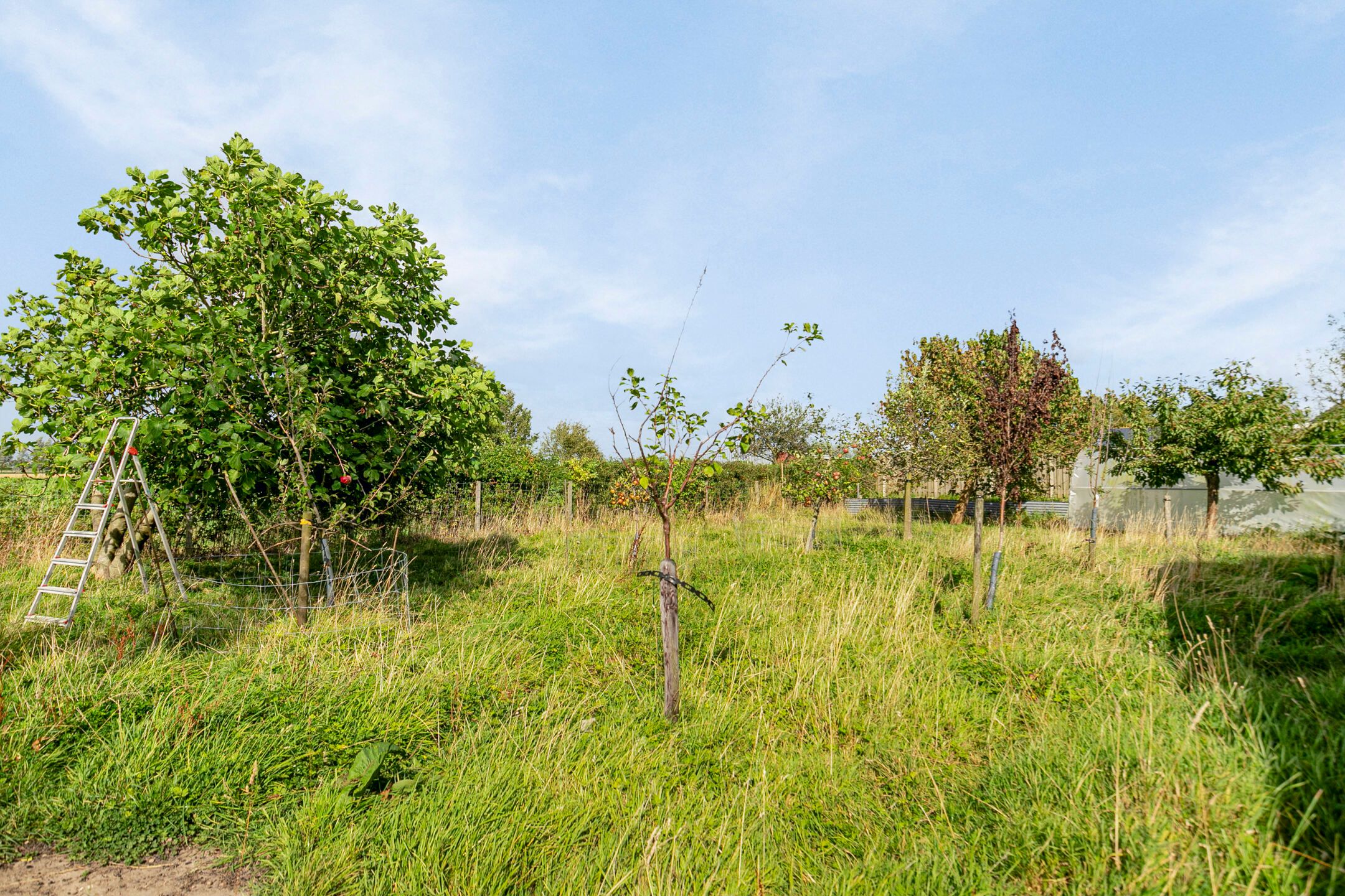 Foto 51 van Dorpsstraat 13