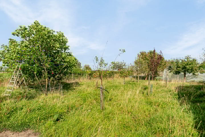 Foto 51 van Dorpsstraat 13