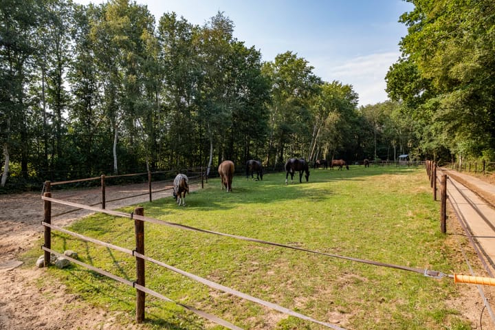 Foto 76 van Overburen 23