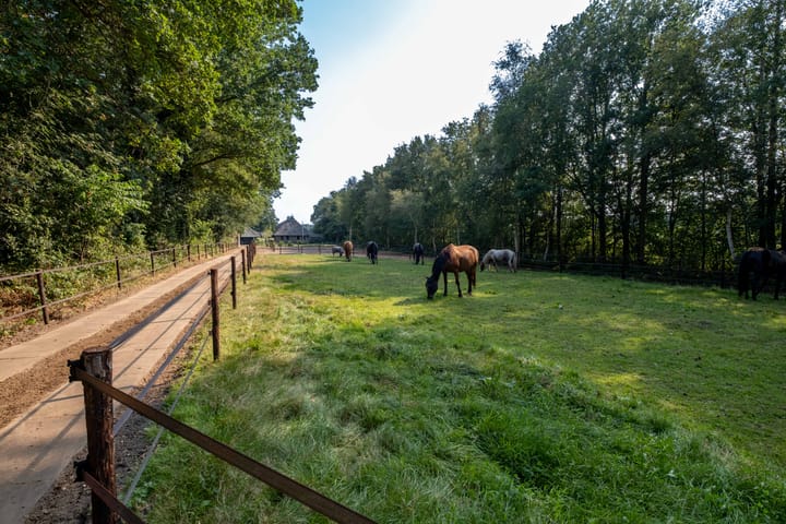 Foto 77 van Overburen 23