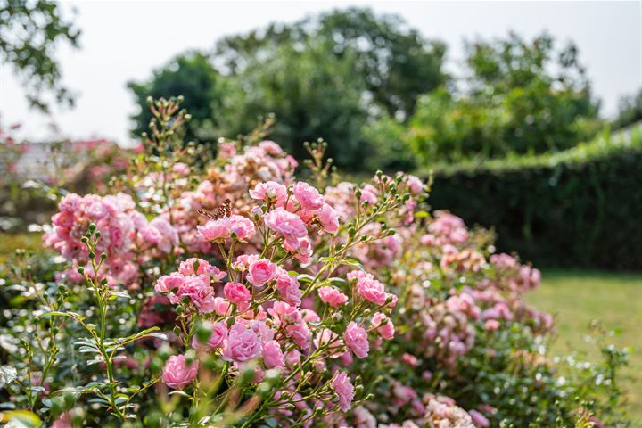 Bekijk foto 36 van Badweg 11