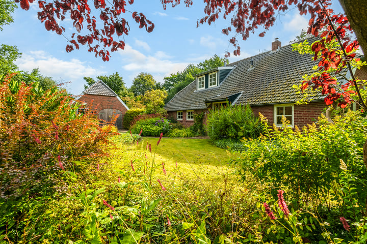 Bekijk foto 41 van Schaapskooiweg 1