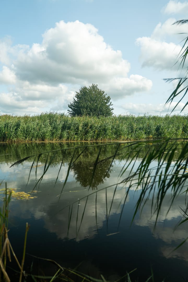 Photo 23 of Orchideelaan 34