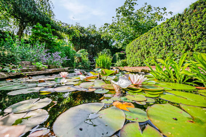 Foto 29 van Landlustweg 2