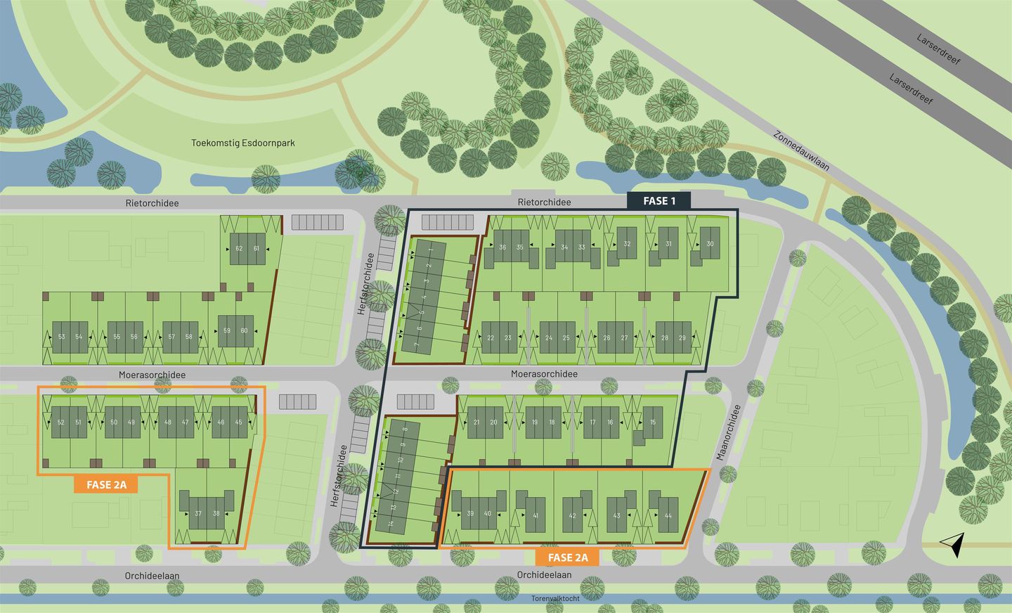 Foto 4 van Moerasorchidee 25