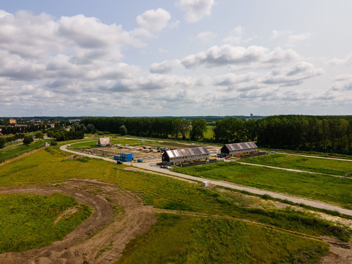 Foto 5 van Moerasorchidee 25