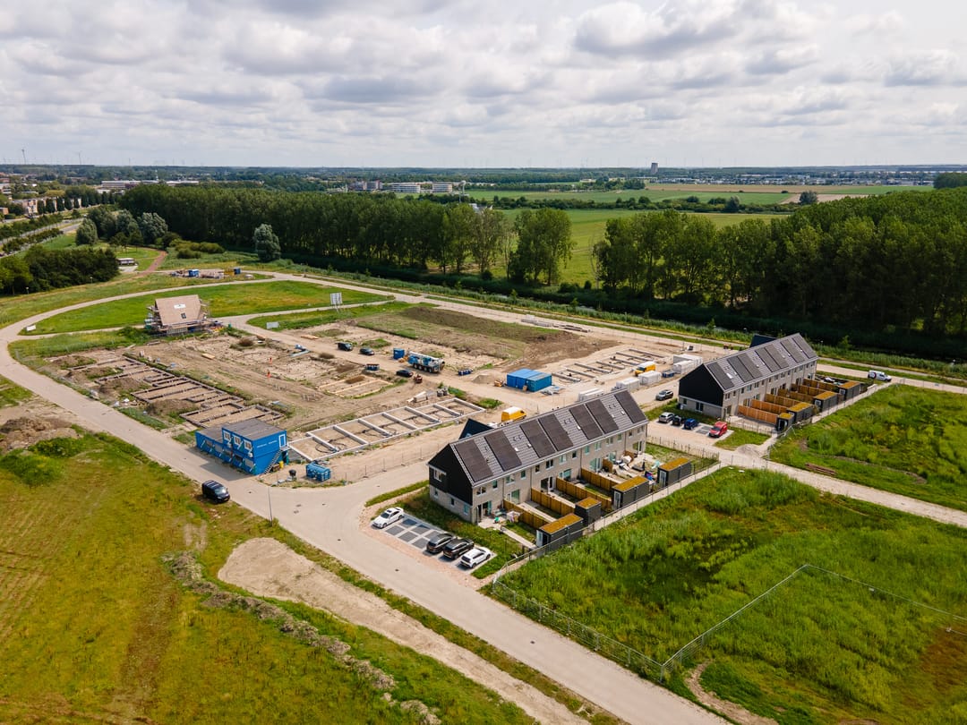 Foto 11 van Moerasorchidee 25