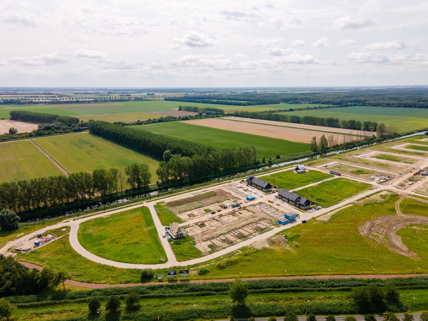 Foto 14 van Moerasorchidee 25