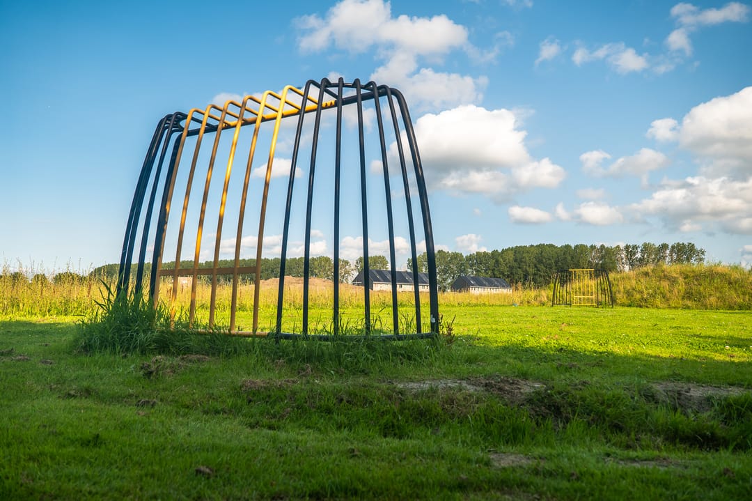 Foto 22 van Moerasorchidee 25