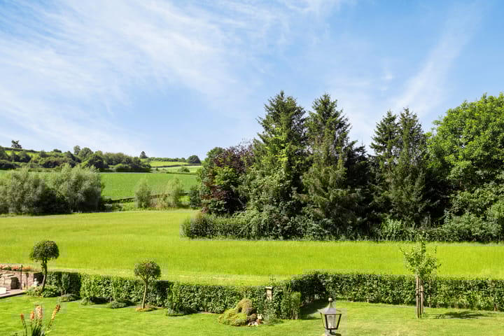 Foto 3 van Wittemerweg 6