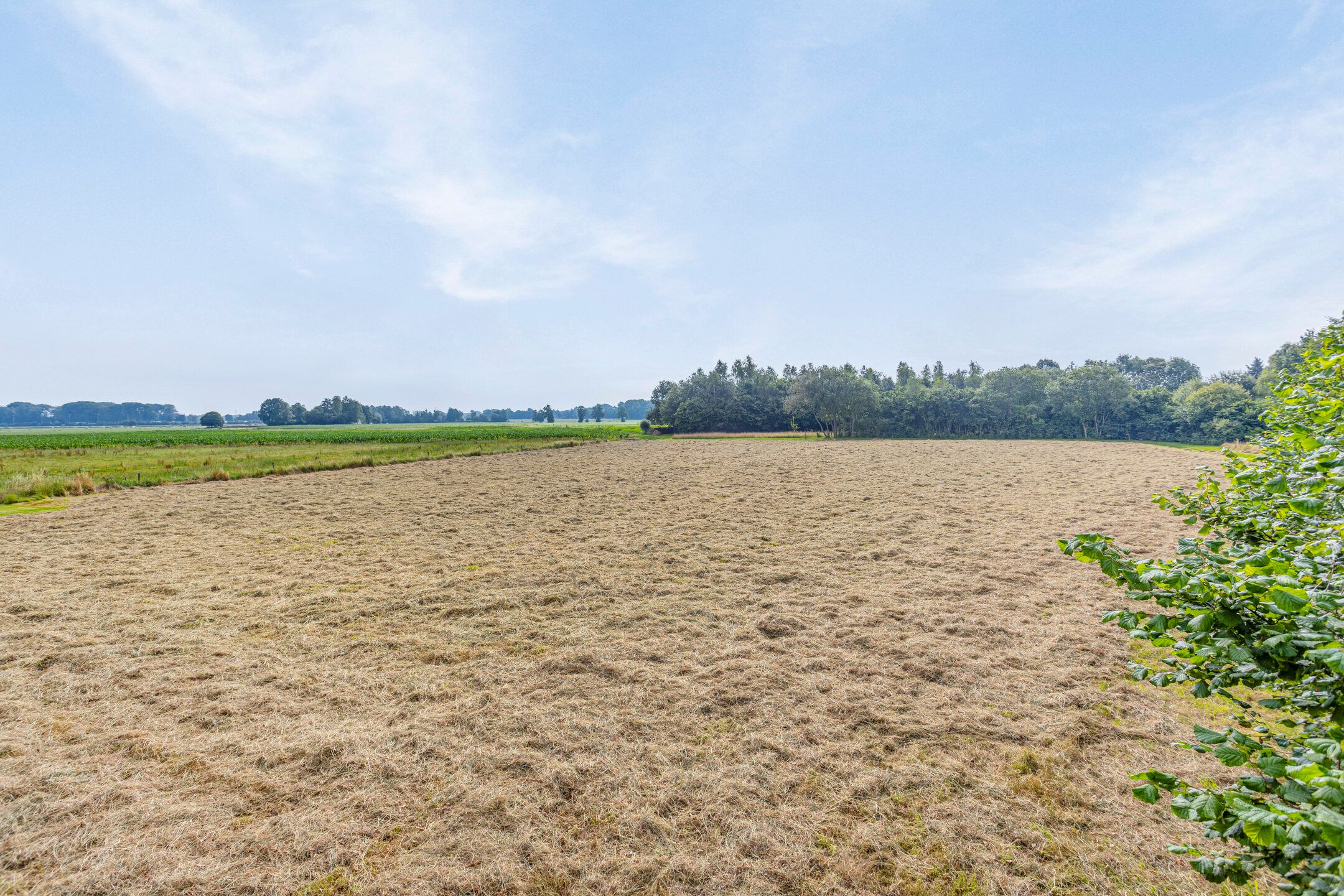 Photo 66 of Bellertstraat 22