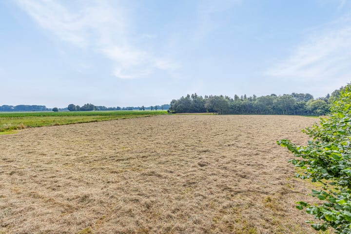 Foto 66 van Bellertstraat 22