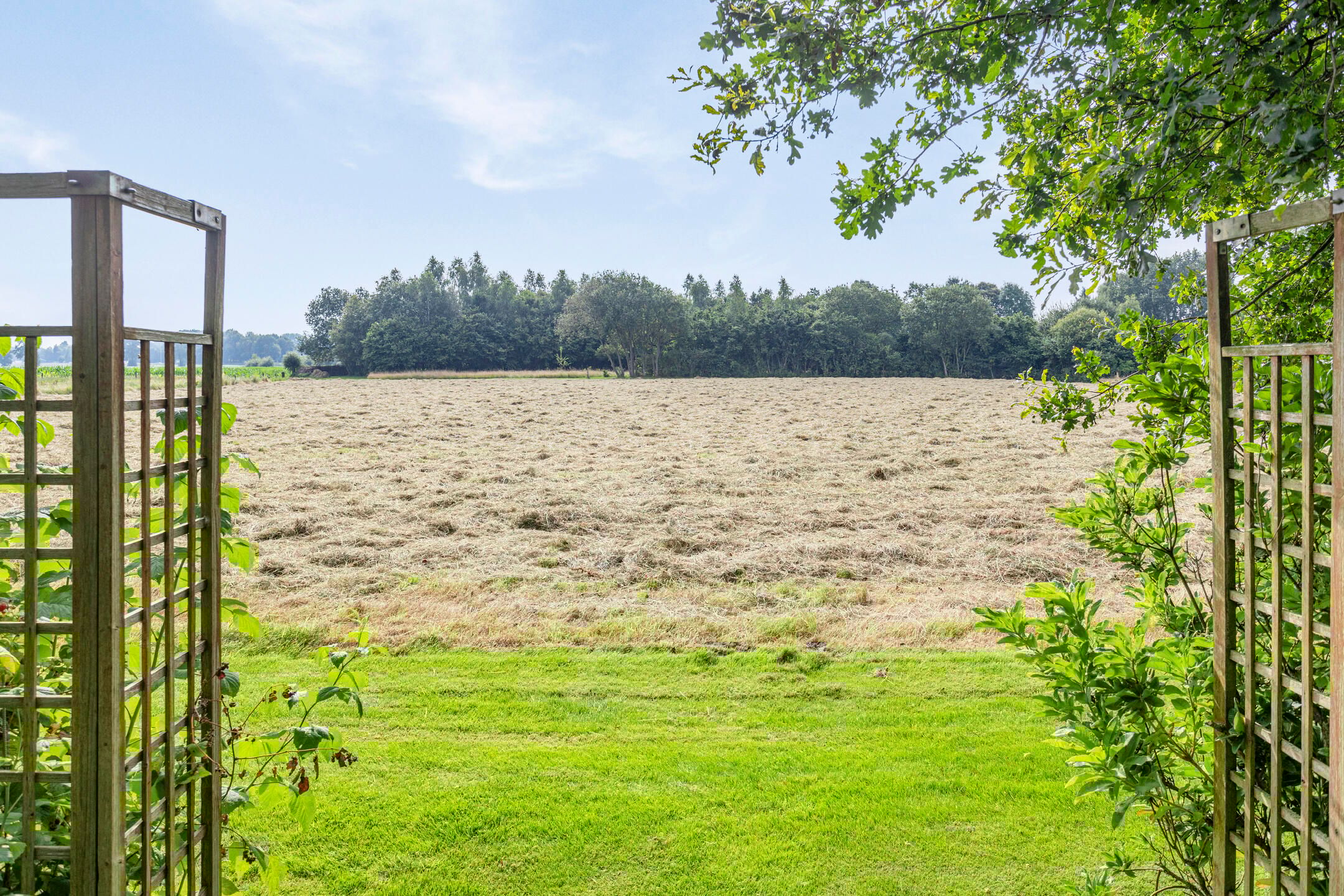 Photo 69 of Bellertstraat 22