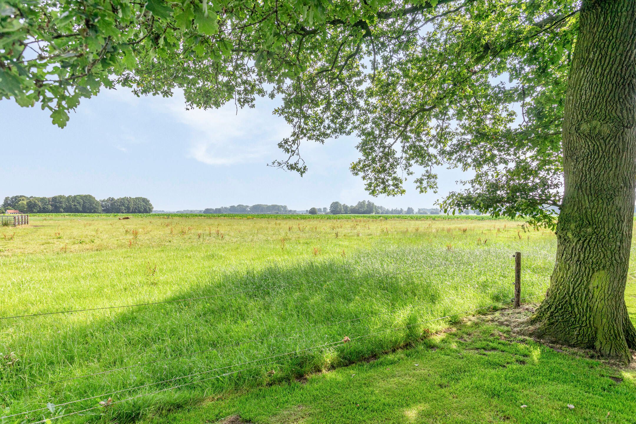 Photo 105 of Bellertstraat 22