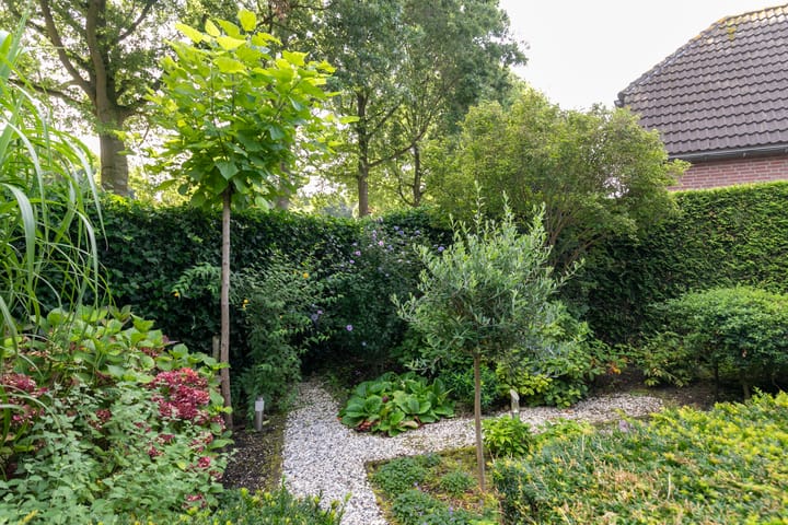 Photo 51 of d' Onvermoeidelaan 17