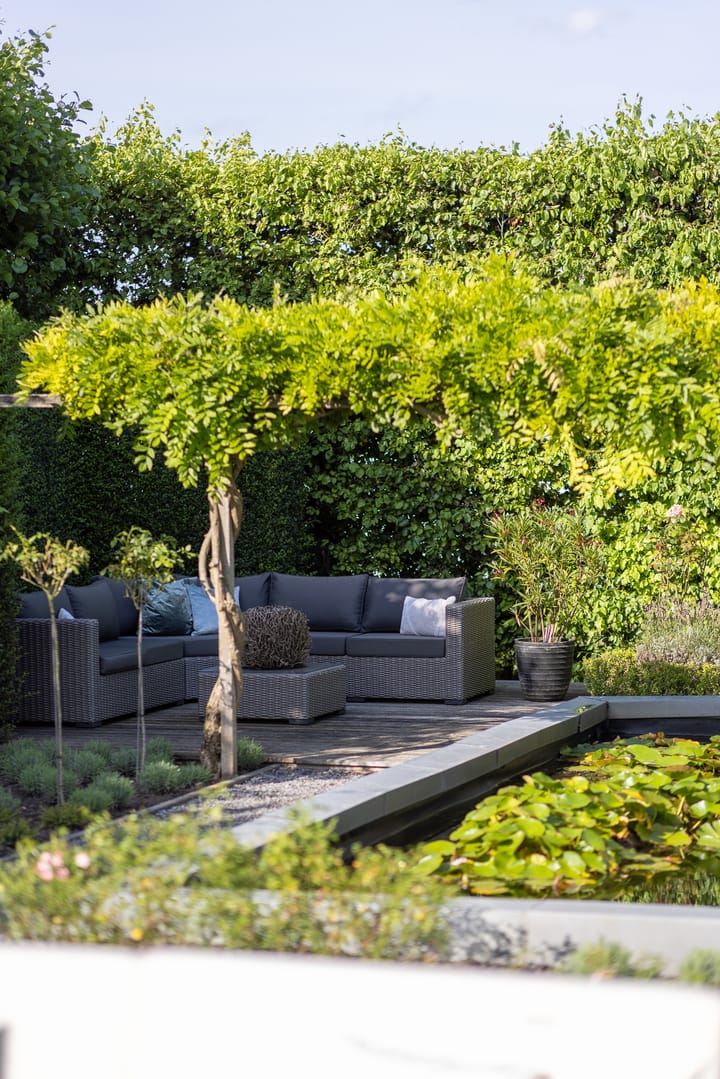 Foto 55 van Pruimenhof 2