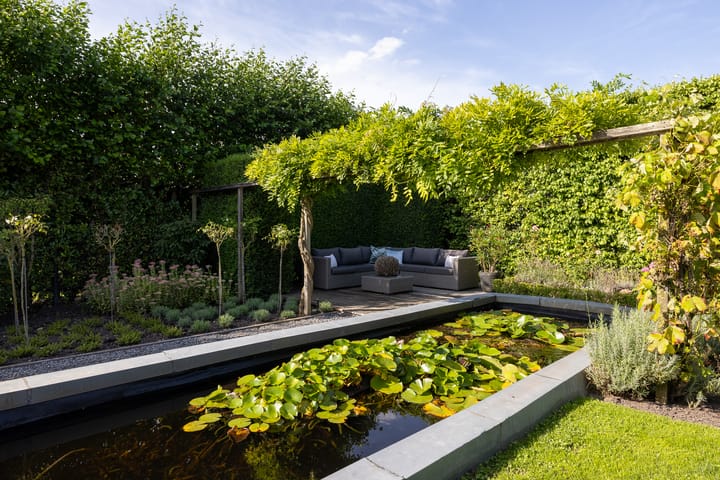 Foto 56 van Pruimenhof 2