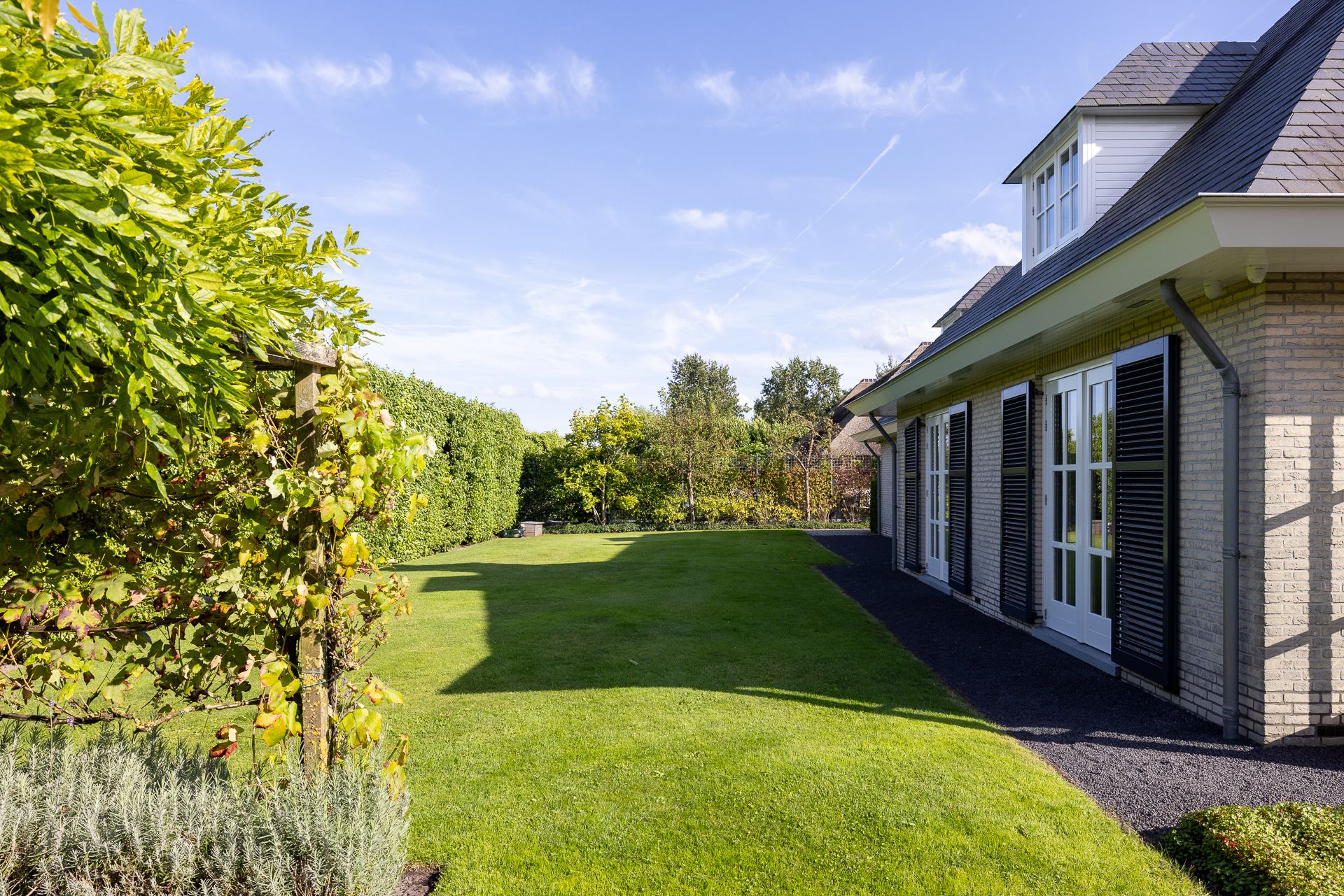 Foto 57 van Pruimenhof 2