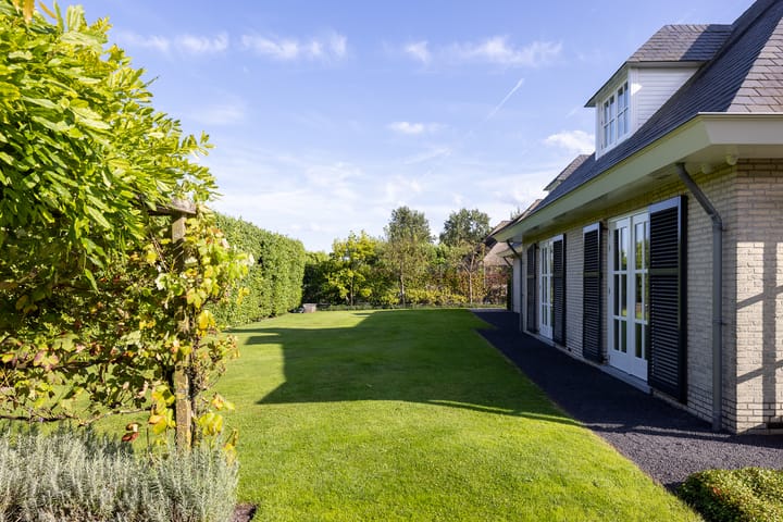 Foto 57 van Pruimenhof 2