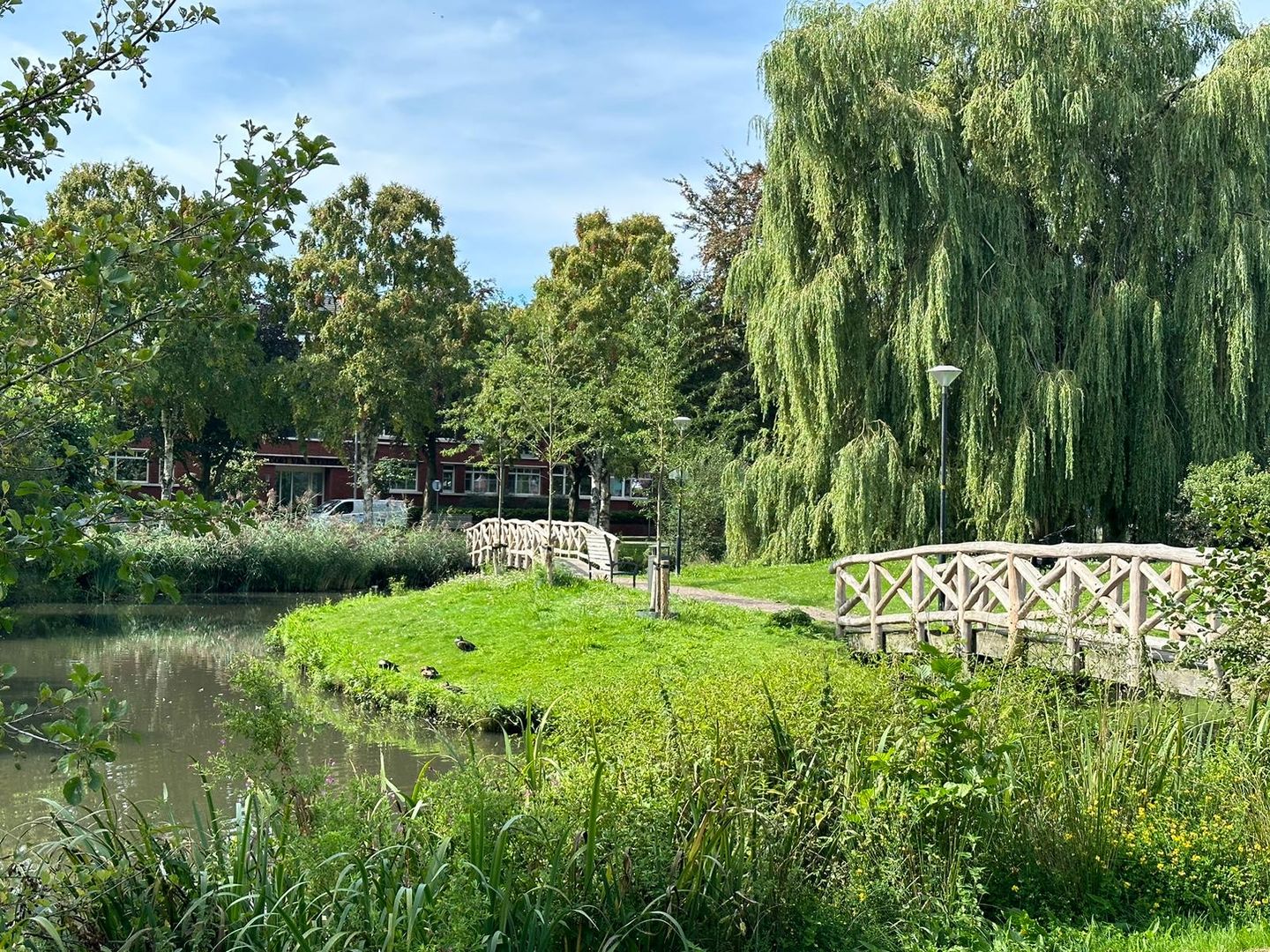 Foto 50 van Van Curlerstraat 8