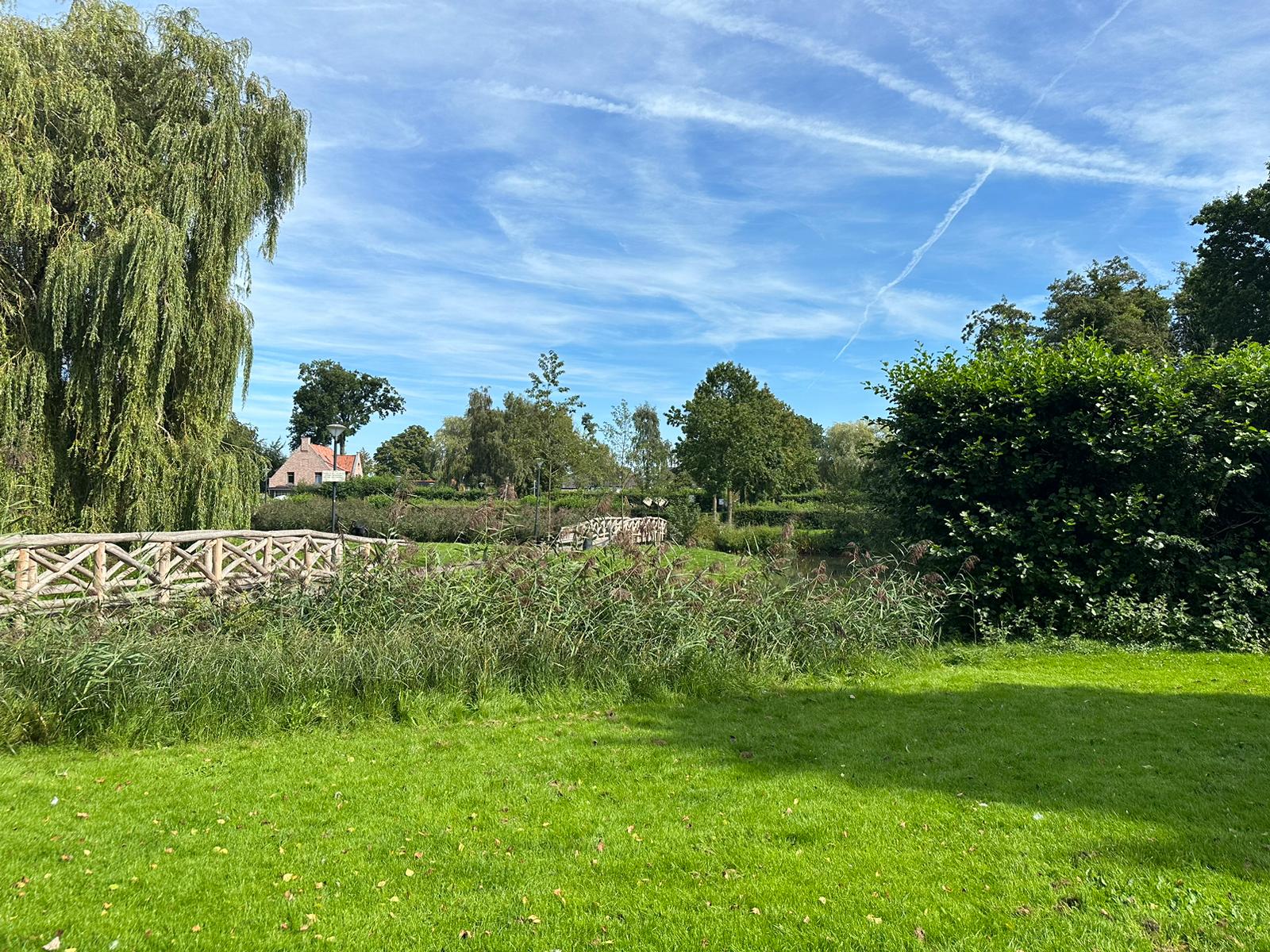 Foto 51 van Van Curlerstraat 8