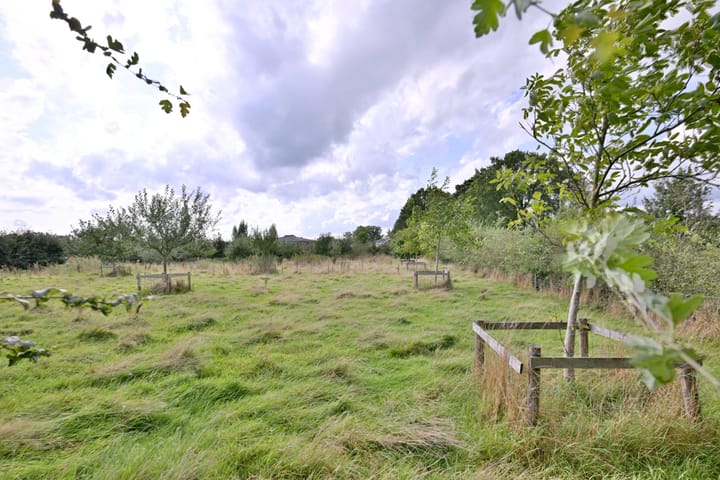 Foto 19 van Elzenbosweg 19