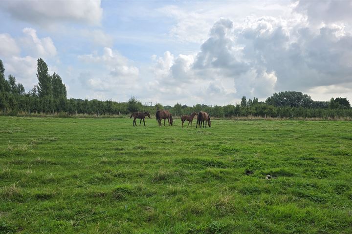 Bekijk foto 46 van Marten Toonderlaan 27