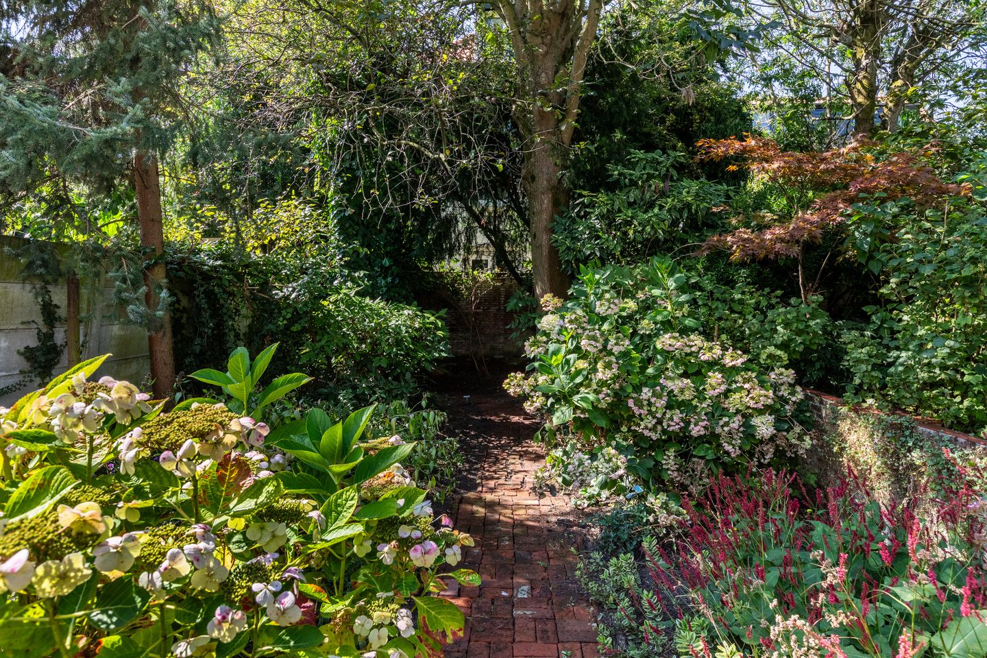 Foto 44 van 1e De Riemerstraat 22